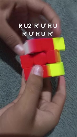 CFOP Scramble Pattern: R U2' R' U' R U R' U' R U' R'
