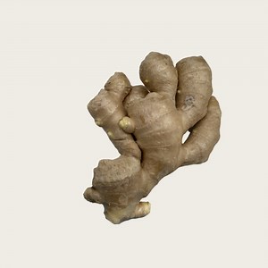 [Hot Item] 2025 New Crop Fresh Whole Big Size High Quality Air Dried Ginger