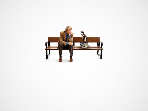 The Penguin Lessons - Apple TV