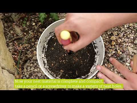How To Make a Habitat for Ground Nesting Bees