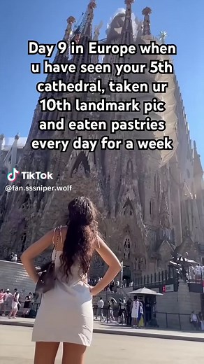 Fan SSSniperWolf on TikTok