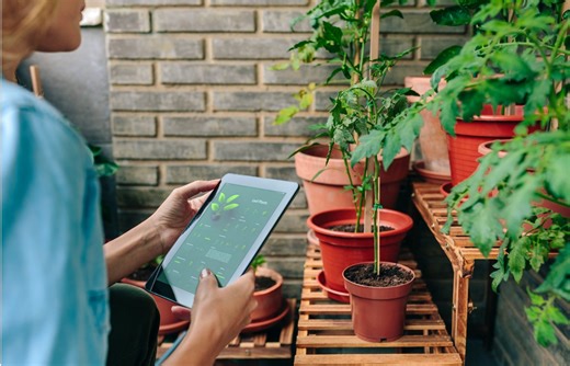 Best AI Tools for Gardening
