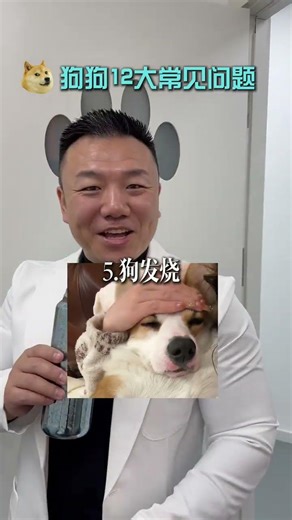 12 Common Problems with Dogs#Everything Is Lovely Plan#365 Little Things about me and it#O