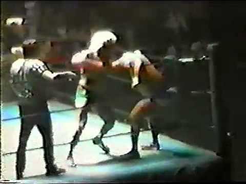 Ric Flair vs Ron Garvin