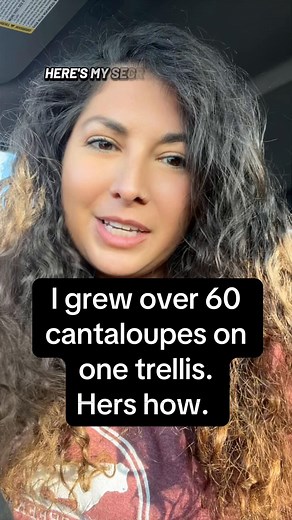 Cantaloupe Seed Starting and Companion Planting Tips