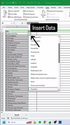 Geography Option in Excel | Get Country Data Automatically (Stocks & Data Types)