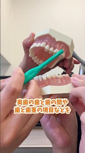 How to use the One-Tuft Brush! 🪥 #Dentist #DentalHygieneist #TaboDental #SaitamaCity #Urawa #OneT...
