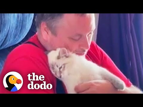 Dog-Person Guy Begs His Wife To Adopt Shelter Cat | The Dodo Foster Diaries