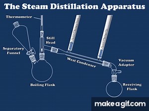 How Steam Distillation Works on Make a GIF
