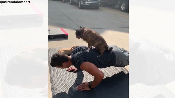 WATCH: Miranda Lambert shares hilarious videos of husband and rescue pets