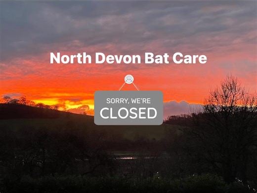 It’s with great sadness that I have to close North Devon Bat Care this year. Time constraints, increasing costs, huge changes in family commitments, issues with my health and ever changing rules and regulations around running rescues, fundraising etc have left me in a position where I just cannot care for the bats the way I want to and I cannot see the situation changing any time soon. I hate to let the bats down and the people who find them and want to help but I just cannot pull myself in so m
