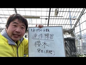【連作障害について2】連作障害を防ぐにはどうしたらいい？輪作が難しい方におすすめの対策方法を教えます！【農業屋】