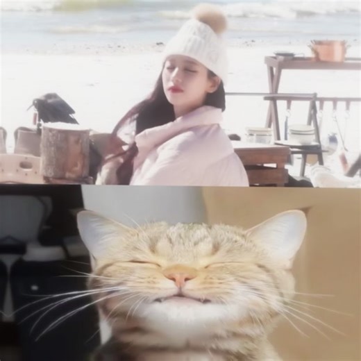 Adorable Jimin Vlog Moments: Celebrating Sunny Days