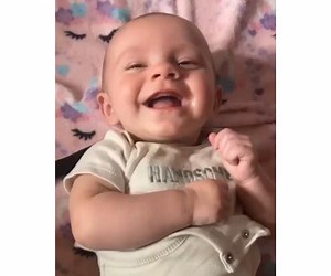 Zoey Main Obituary (2023) - Mountain City, TN - Mountain City Funeral Home