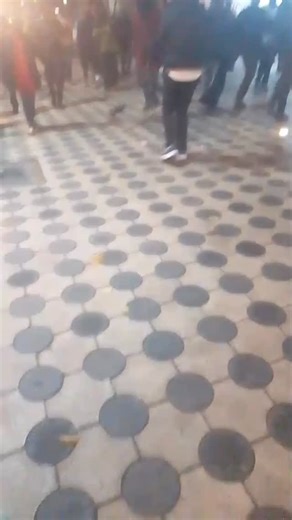 Geoffrey Mosiria KE on Instagram: "BREAKING NEWS FROM CBD !!! I am just wondering who is the owner of this snake that was killed yesterday evening around 7:00 pm in the CBD near Kencom by our “Chambes,” the street boys? This is not a small lizard from ushago, my people. This is a proper snake. Now the big question is: how do you tame an animal this big and KWS does not know about it? Or are we now keeping snakes in bedsitters like pets? First, my condolences to the owner loss is loss. But again,