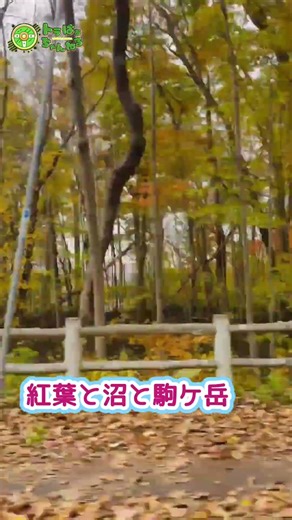 北海道七飯町【大沼国定公園】の湖畔