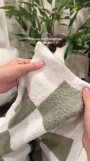 Seriously the most softest and cutest blanket for fall!... #Shorts #renatarabuha