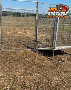 Step inside the toughest hog trap ever built. 💪🐗 Every weld, every panel, every inch of steel — built to outlast anything that tries to break it. This ain’t no toy trap… this is a Hog Brothers Trap. Made for the folks who are serious about taking back their land. 👉 HogBrother.com | 📞 817-203-3705 | ✉️ sales@hogbrother.com #HogBrothers #BuiltTough #TexasStrong #WildHogControl #HogTrap #RanchLife #FarmLife #BoarWars #HogDown #WildBoar #HogBrothersTrap #CountryStrong #LandManagement #PigProblem