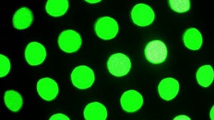 Diffused Laser Spots Moving They Diverge: stockbeeldmateriaal en -video's (rechtenvrij) 1317268 | Shutterstock