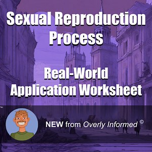 Sexual Reproduction Process Real-World Application Worksheet