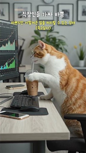 가짜 바쁨과 진짜 바쁨😿