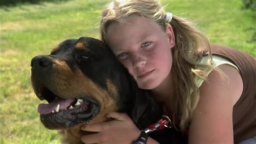 Dogs 101 S01:E02 - Rottweiler and More