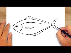 How to draw American Butterfish