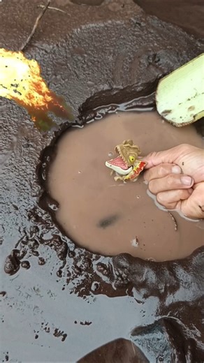 snakehead ecosystem...- SNAKEHEAD FISH #shorts #fish #channa #viralvideo