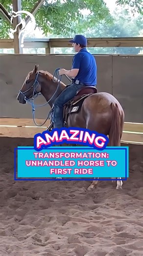 4.1K views · 83 reactions | Witness The Transformation: Unhandled...
