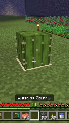 When you need to dispose of items in Minecraft #minecraftsurvival #gaming #garbagedisposal
