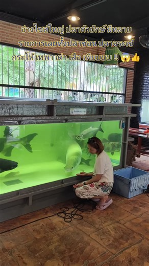 อ่างไซส์ใหญ่ พบปลาตัวยักษ์เพียบ!