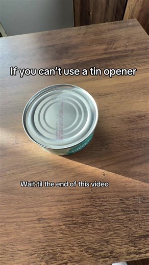 Electric Can Opener: A Surprising Game Changer