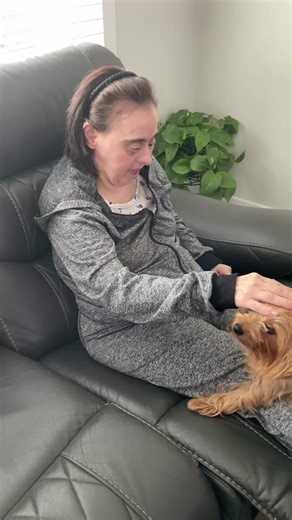 Understanding Down Syndrome in Dogs