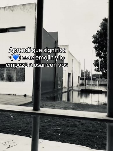 Significado del Emoji de Corazón Azul 🩵