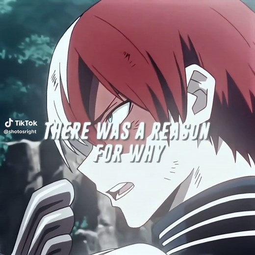 Shoto Todoroki's Pro Hero Journey in My Hero Academia