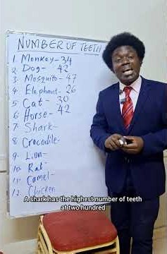 Number of teeth in different creatures.