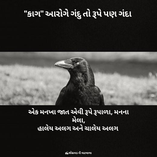 gamdanu_d1l on Instagram: "Thanks for 500K view❤️#twolineshayari #sadshayri #writersofinstagram #gujarati shayari #Gujarati shayri #poetrycommunity #shayariquotes #shayrilove #linespoetry #Gujarati poem #life #gulzar #followforfollowback #brokenheart #jazbaat #poem #Gujarati poems #aashiq #viral #hindishayri #bhfyp #allamaiqbal #motivation #shayriquotes #shayarilove #trending #dard #photography #pyar #explore"