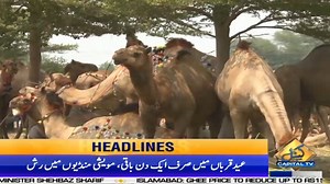 33K views · 2.6K reactions | Cattle Market Situation | 03 PM News Headlines | 9 July 2022 | Capital TV | Capital TV | Facebook