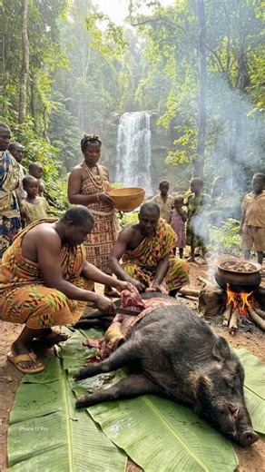 Ashanti Tribe Tradition Butchering: Giant Forest Hog! 🐗🔪 #tribalcooking #triballife