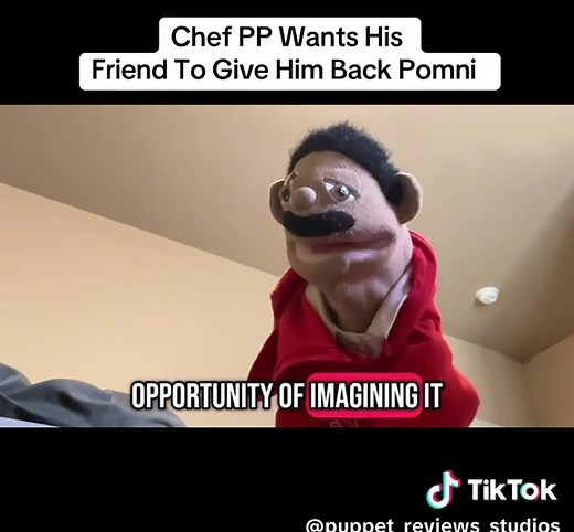 Puppet Reviews Stuff on TikTok