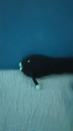 Yoshi incident #memes #funny #subscribe #trend