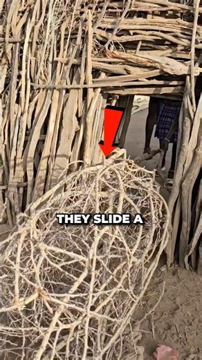 This Is How Villages In Africa Protect Their Homes 😲