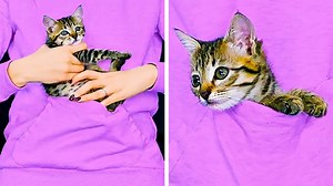 Amazing pet hacks and crafts. 🐰 | 5-Minute Crafts Teens