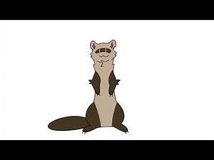 Dancing ferret animation //meme// thank you 70k+