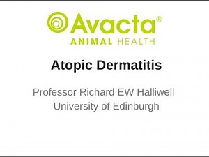 Canine Atopic Dermatitis