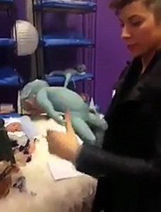 Must watch - Is it true- Devil Baby.mp4