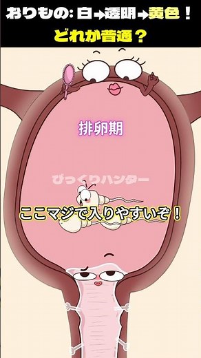 おりもの: 白→透明→黄色?! どれが普通?
