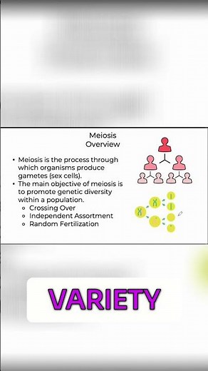 Random Fertilization: Understanding Egg and Sperm Mixing
