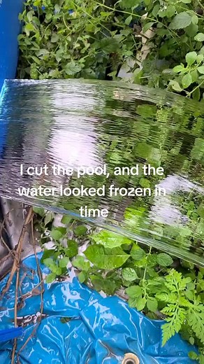 Frozen in Time: Mesmerizing Pool Cutting Video