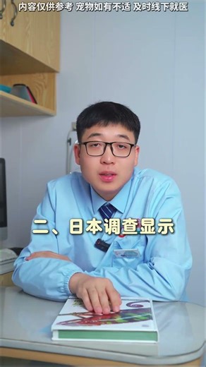 Novice Cat Keeper's Magic Pill Adventure